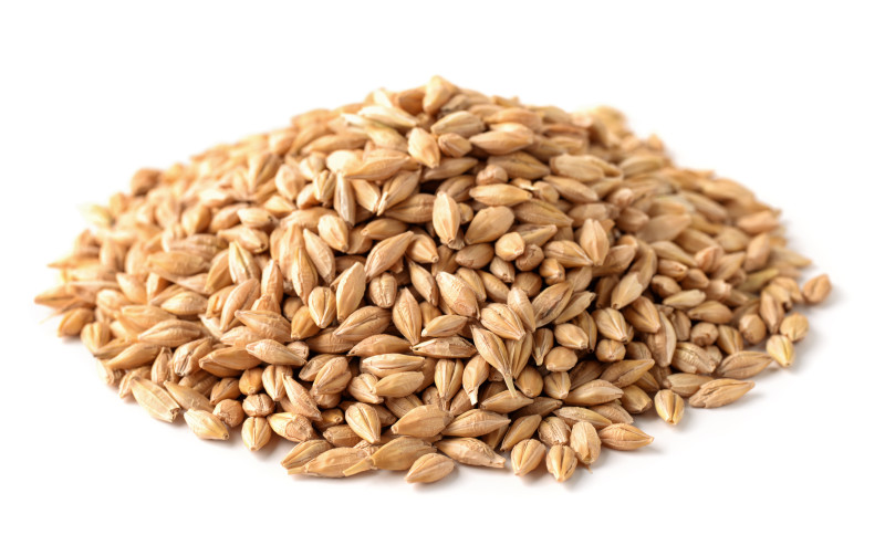 ADMAT-POL - Barleya