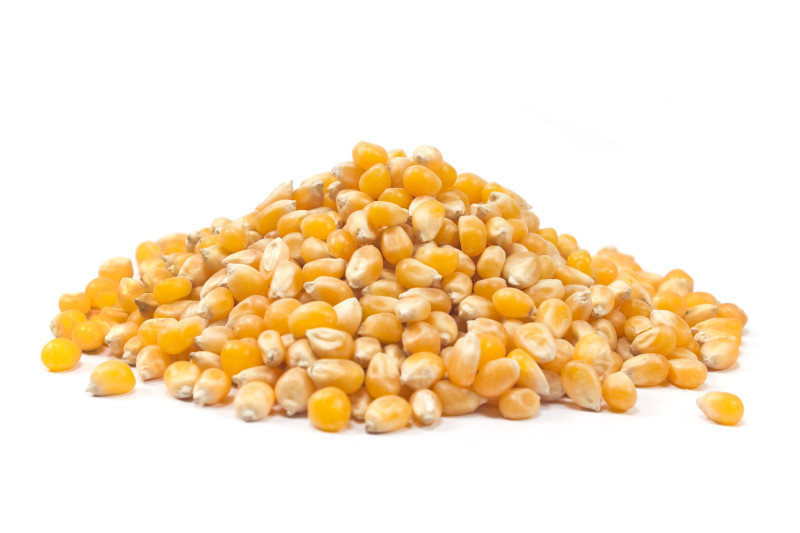 ADMAT-POL - Kukurydza żółta drobnaa