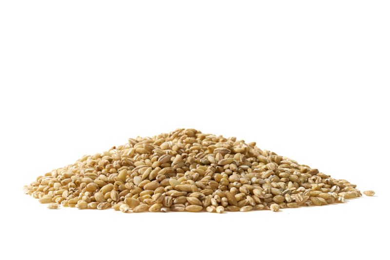 ADMAT-POL - Husked barley groatsa